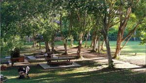 Puerto Maldonado Amazon Tours
