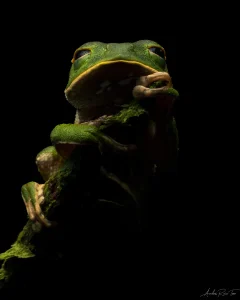 puerto maldonado amazon tours