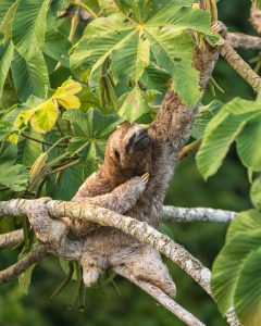 puerto maldonado amazon tours