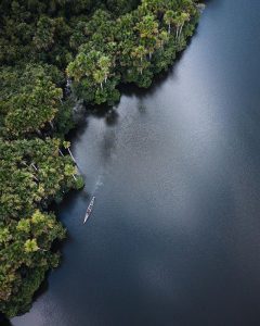 tambopata jungle tour