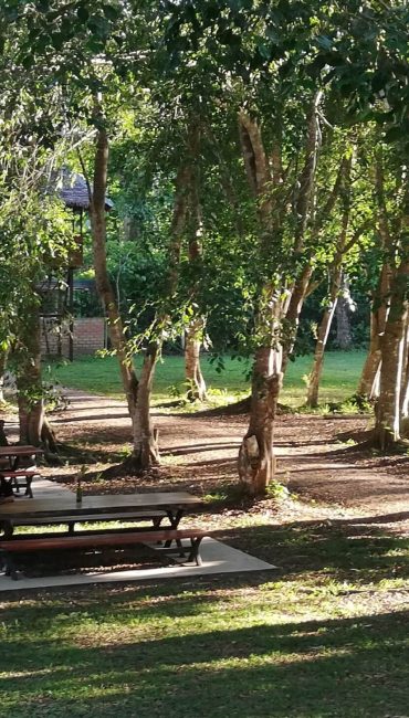 Puerto Maldonado Amazon Tours